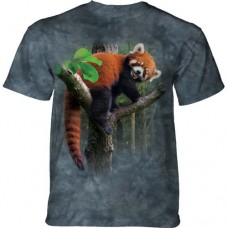 RED PANDA TREE